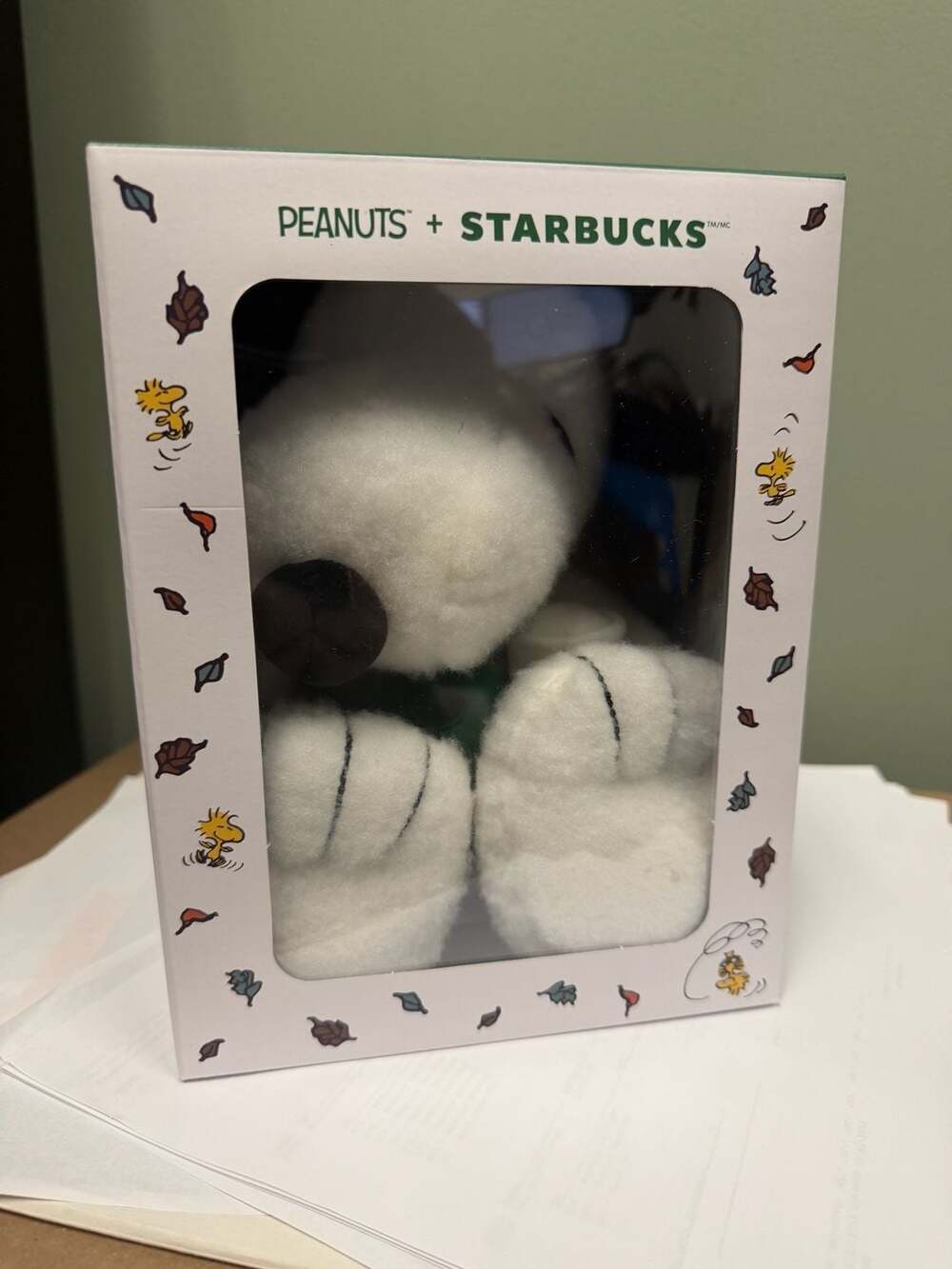 Starbucks Peanuts Snoopy Plush Box Set